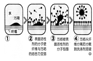 去污作用過(guò)程